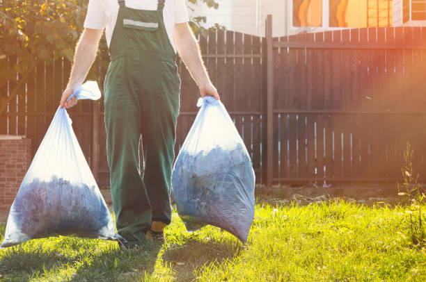 Best Affordable Junk Removal Services  in Guadalupe, AZ